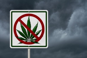 DUI Lawyer Warns Everyone Against Using Pot and Driving